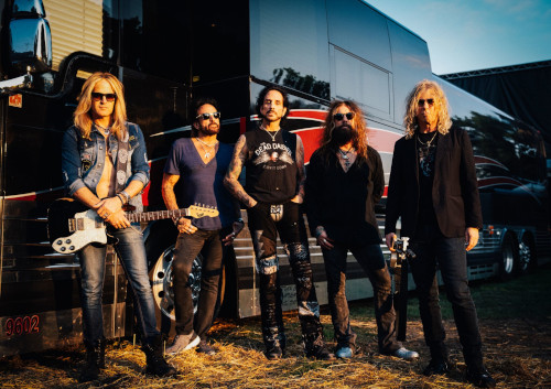 dead daisies